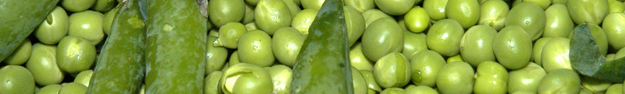 pesolada cap�alera