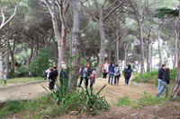 camins camins