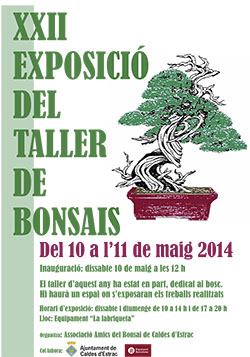 cartell bonsais 2014