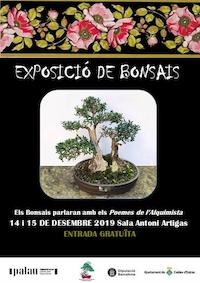 Inauguració expo bonsais