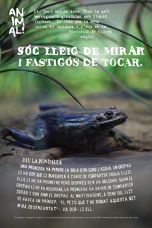 191001_biblioteca 191001_biblioteca