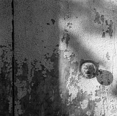 FUNDACIO PALAU FUNDACIO PALAU