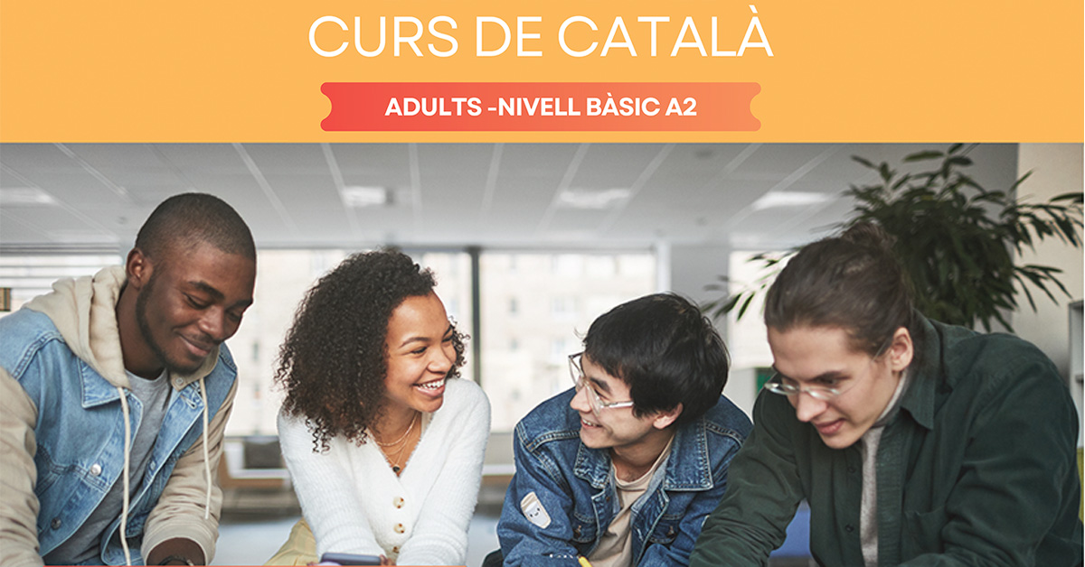 curs català web curs català web