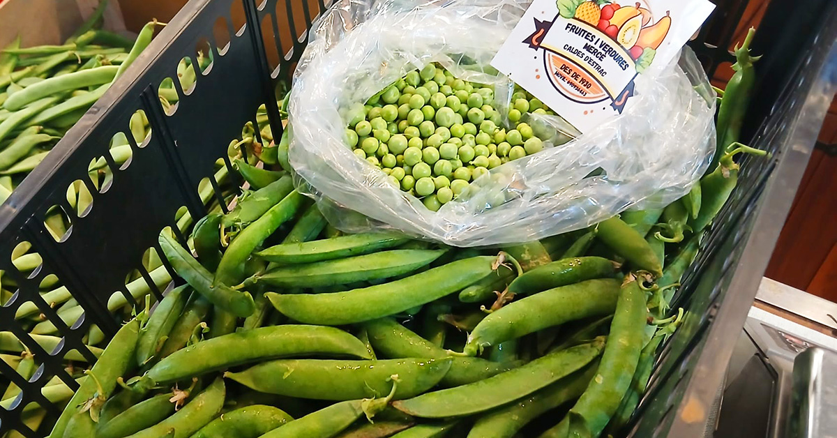 pesols mercat pesols mercat